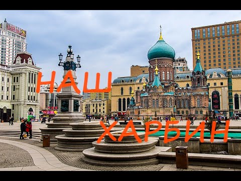 Видео: Наш Харбин: что можно увидеть на улицах