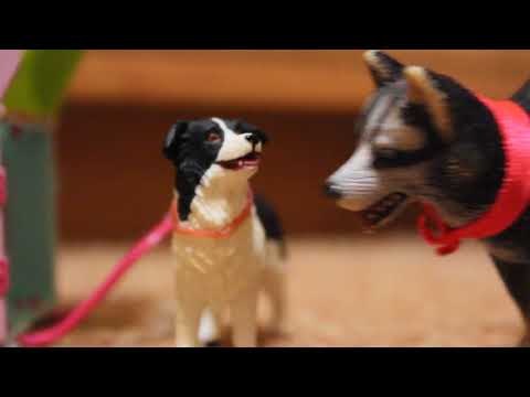 Видео: Вольная Упряжка 1 серия