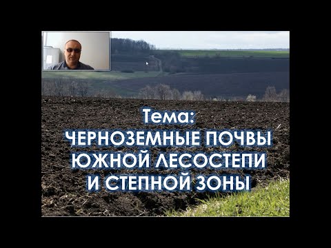 Видео: Видеолекция Черноземные почвы лесостепи и степной зоны