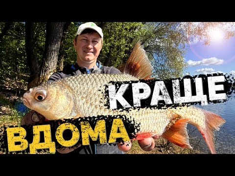 Видео: Фідер на ДЕСНІ! В пошуках ляща та карася! Рибалка 2025
