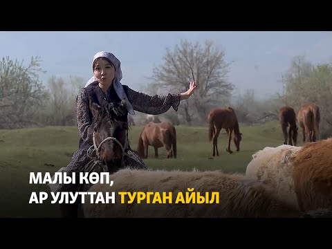 Видео: Малы көп, ар улуттан турган айыл