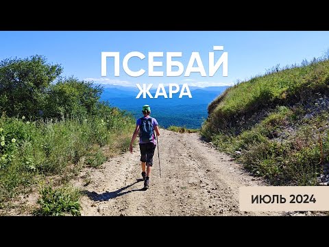 Видео: Псебай. Июль 2024 - Жара и засуха
