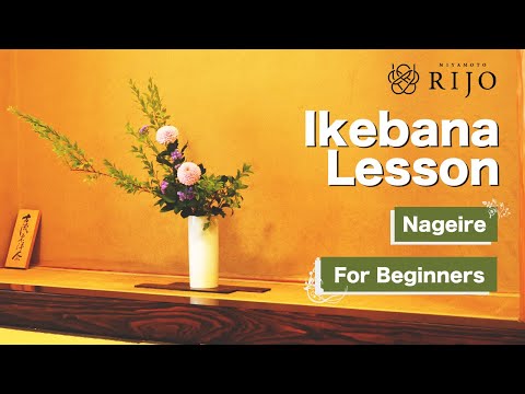 Видео: Урок икебаны | Быстрые и простые способы попробовать нагэирэ | Икебана для начинающих