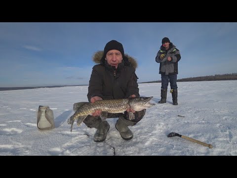 Видео: Рыбалка в январе 2025.