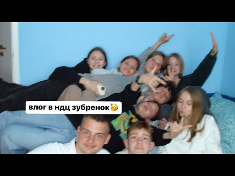 Видео: влог в лагерь зубренок🐾🌄