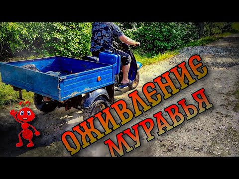 Видео: Оживление мотороллер "Муравьей" 🔥