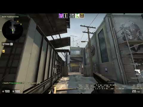 Видео: играю в кс го с лучши напарником CS:GO
