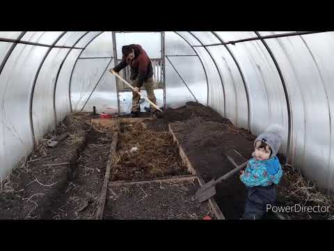 Видео: Про навоз и тёплые грядки в теплице
