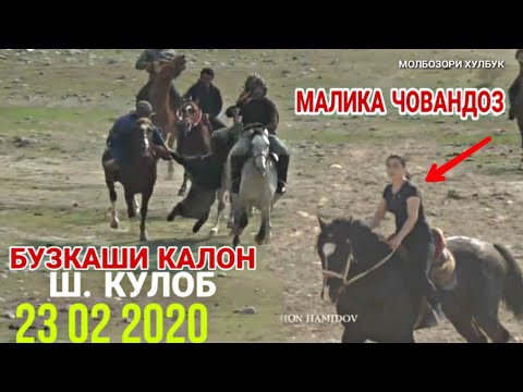Видео: БУЗКАШИ КАЛОН ДАР Ш КУЛОБ, УЛОК, (кисми 1) 23 02 2020 г. АСАДУЛО СИРОЧОВ