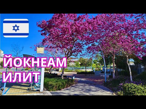 Видео: ЙОКНЕАМ - ИЛИТ. Дорогой город на СЕВЕРЕ ИЗРАИЛЯ