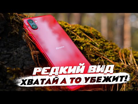 Видео: Sharp R3 на Android 11: японцы отжигают!