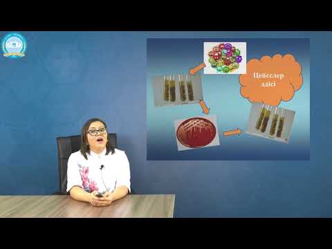 Видео: Анаэробтардың таза дақылын бөліп алу