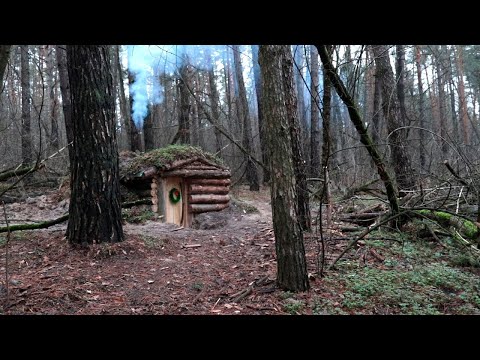 Видео: ЗЕМЛЯНКА | История большой Лесной Мечты |