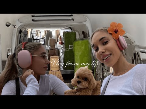 Видео: Vlog | День со мной | Про макияж, окрашивание, уход за блондом| Хейт. Курс по макияжу
