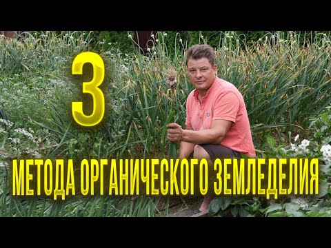 Видео: Три основных направления в органическом земледелии и почему они не подойдут для меня