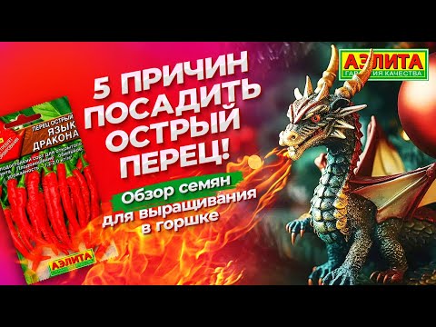 Видео: Выращивайте ОСТРЫЙ ПЕРЕЦ круглый год! Сорта перца острого для выращивания в горшке.