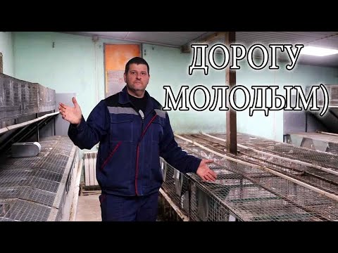 Видео: Теперь точно ВСЁ!