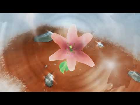 Видео: "Твори добро" Цветок и Фонарь