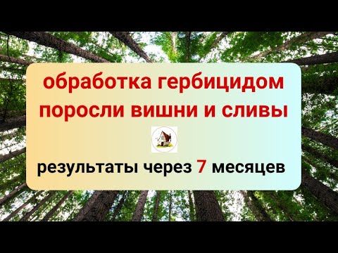 Видео: Как избавиться от поросли вишни и сливы гербицидом. Результат через 7 месяцев.