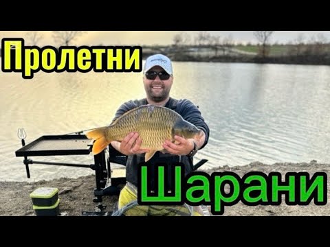 Видео: ПРОЛЕТНИ ШАРАНИ НА МЕТОД ФИДЕР.ЛОВИХМЕ НА ДИСТАНЦИЯ ОТ 95 МЕТРА!