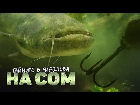 Видео: Разкриваме ТАЙНИТЕ в риболова на СОМ / Тролинг на яз. "Ивайловград" - 4 част