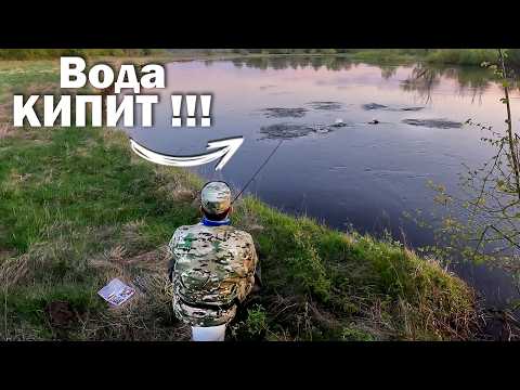 Видео: Ловля ЖЕРЕХА весной БЕЗ ОПЫТА ( Начинающий ). Спиннинг ВЕСНОЙ. Рыбалка. Часть 2