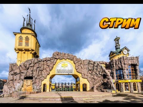 Видео: Поход в Московский Зоопарк🦒🦣🦧СТРИМ