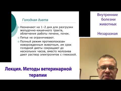 Видео: Методы Ветеринарной Терапии. Внутренние Болезни Животных