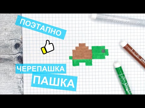 Видео: Маленькие рисунки по клеточкам / Черепашка Пашка / Рисовать рисунки животных по клеточкам / Лайк АРТ