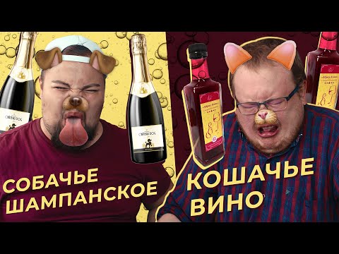Видео: КОШАЧЬЕ ВИНО \ СОБАЧЬЕ ШАМПАНСКОЕ