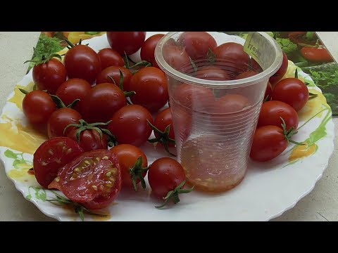 Видео: КАК ЗАГОТОВИТЬ СЕМЕНА ТОМАТА. Часть 1 - ВЫЕМКА. Ольга Чернова.