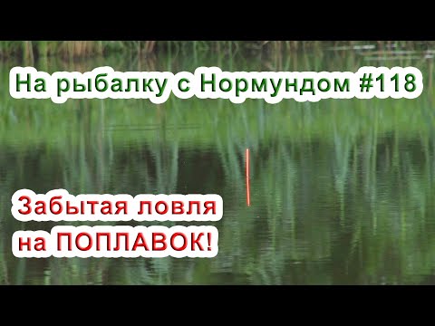 Видео: Забытая ловля на поплавок / На рыбалку с Нормундом #118