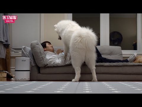 Видео: Реакция собачки когда хозяин отнимает у неё место