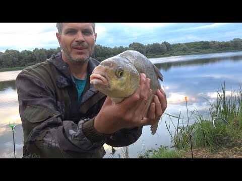 Видео: ДЕЛАЮ САЛО НА ЛЕЩА! ОКСКИЕ ЛЕЩИ-ЛЮБЯТ ЭТО! Рыбалка на донки на ОКЕ!