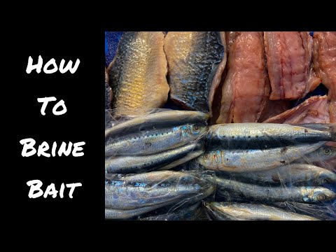 Видео: Руководство по выбору наживки | Более жёсткая, лучшая наживка