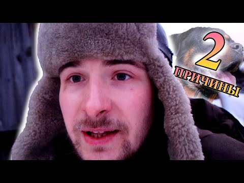 Видео: Почему ВАМ не следует заводить РОТВЕЙЛЕРА?