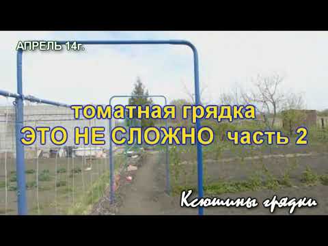 Видео: Томатная грядка   это не сложно 2