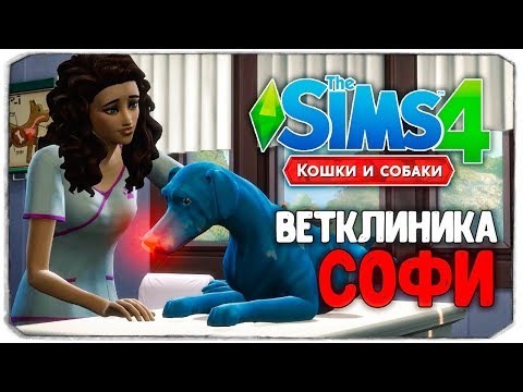 Видео: ВЕТКЛИНИКА СОФИ! - The Sims 4 "Кошки и Собаки" ▮