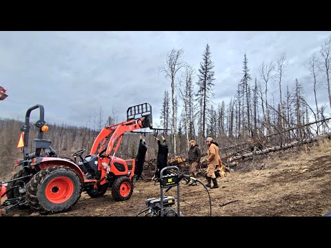 Видео: Визит к нашим друзьям @ThisOffGridLife + День сбора урожая свинины