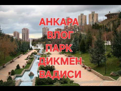 Видео: Выходные,  прогулка в парке, Чанкая