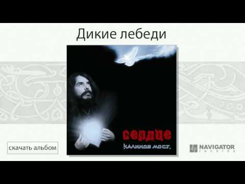 Видео: Калинов Мост - Дикие лебеди (Сердце. Аудио)