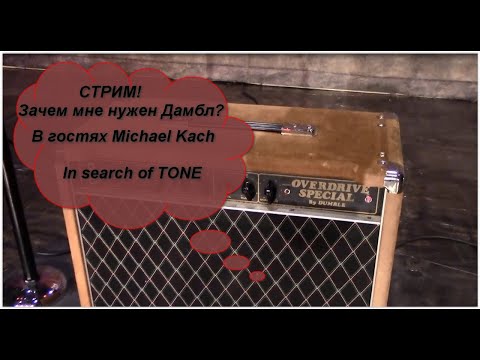 Видео: Зачем мне нужен Дамбл? СТРИМ!  В гостях Michael Kach In search of TONE