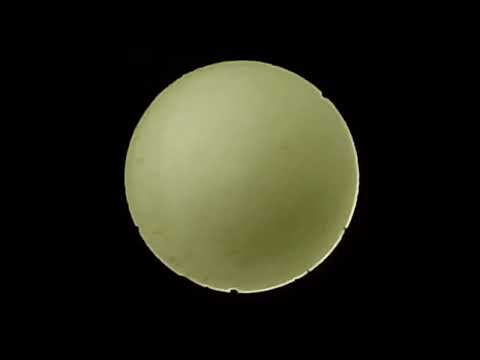 Видео: Переполировал снова 365 мм, попытался параболизовать по звезде