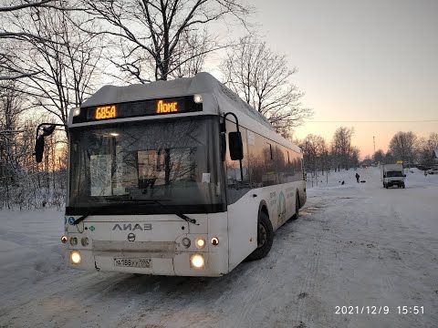 Видео: Автобус 685А Ломоносов - Глобицы