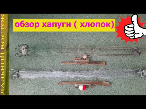 Видео: Обзор хапуги ( хлопок)