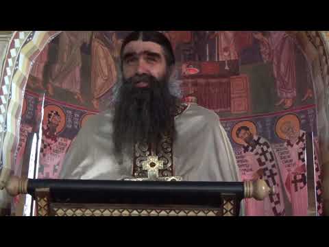Видео: 2019 11 26 Свети Јован Златоусти-о.Рафаило