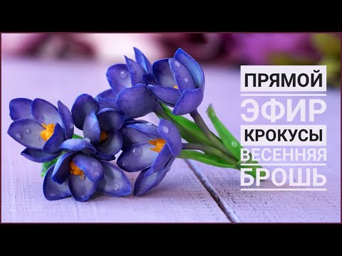 Видео: КРОКУСЫ 🌱  ВЕСЕННИЕ БРОШКИ 🌱 ПРЯМОЙ ЭФИР
