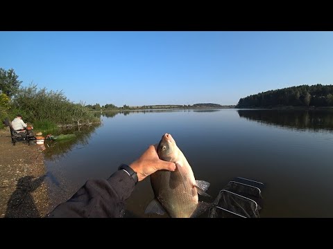 Видео: РЫБАЛКА НА ПЕТРОВИЧСКОМ ВОДОХРАНИЛИЩЕ. ЛОВЛЯ ЛЕЩА НА ФИДЕР В КОНЦЕ ЛЕТА.