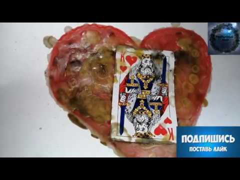 Видео: ОНЛАЙН РИТУАЛ. НАСЛАТЬ ТОСКУ СЕРДЕЧНУЮ #ПУСТЬ СКУЧАЕТ И ВАС ВСПОМИНАЕТ#