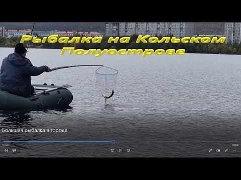 Видео: Большая рыбалка в городе. Ловля сига на чертик.